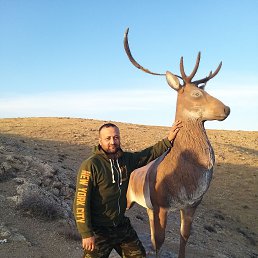 , 37, 