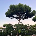 ���� �����, �������� - ��������� 1 ������ 2025 � ������ ���� ����������