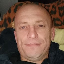 �����, ����, 42 ����