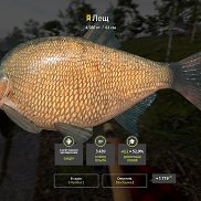 ������, 19 ���, ����