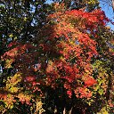 ���� ��������, ������� - ��������� 22 ������ 2023 � ������ ���� ����������