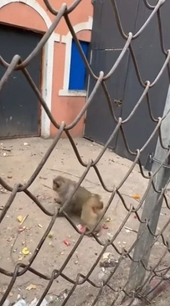 ����� � ���������� �� ������! ����� � ����� ������ �������� - 2