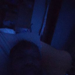 ���� ������, �����, 41 ��� - ��������� 11 ������ 2023