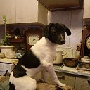 ���� ����, ������-��-����, 58 ��� - ��������� 4 ������ 2026 � ������ ���� ����������