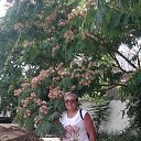 ���� �������, ������ ��������, 69 ��� - ��������� 29 ������ 2026 � ������ ���� ����������