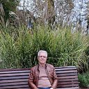 ���� ���������, ��������, 73 ���� - ��������� 29 ������ 2024 � ������ ���� ����������