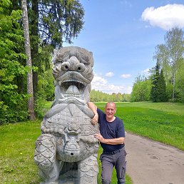 , 55 , 