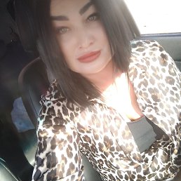 ���� ���, ������, 42 ���� - ��������� 9 ���� 2025