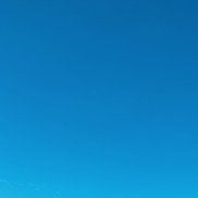 ����, 41 ���, ������