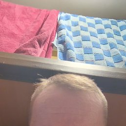 , 48, 