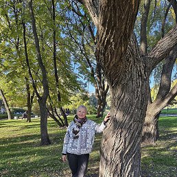 ���������, ��������, 66 ���