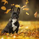 ���� N &hearts; L, ������ - ��������� 18 ������ 2023 � ������ ������ ��������