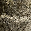  🫡 , , 46  -  8  2025   