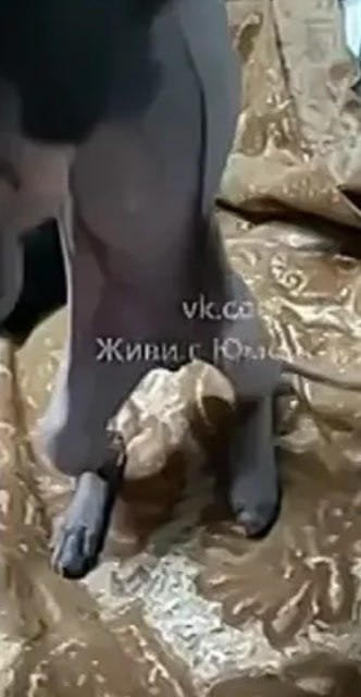 ��� ������ ������� ���������� �� ���������� ������� ��� ����������� -50 ��������. ���������� ������ ...