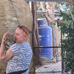 �������, �����