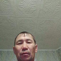 , 44, 