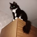 ���� &hearts;�����&hearts;, ����-��� - ��������� 13 ������ 2025 � ������ ������ ��������