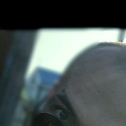 , 29, 