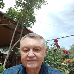 , 57, 