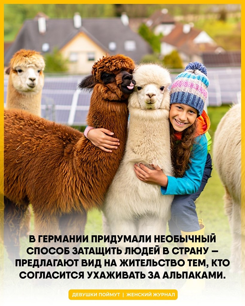   FJ     ,           ...