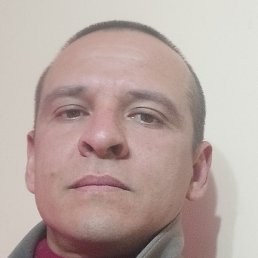 �����, �����������, 36 ���