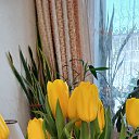 ���� ���������, �����������, 75 ��� - ��������� 8 ����� 2026 � ������ ������ ��������