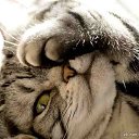 ���� �����, ������ - ��������� 24 ������� 2024 � ������ ���� ����������