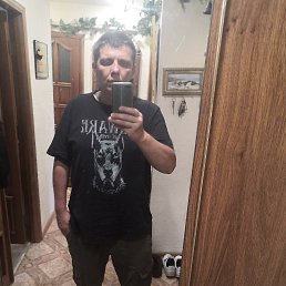 , 41, 