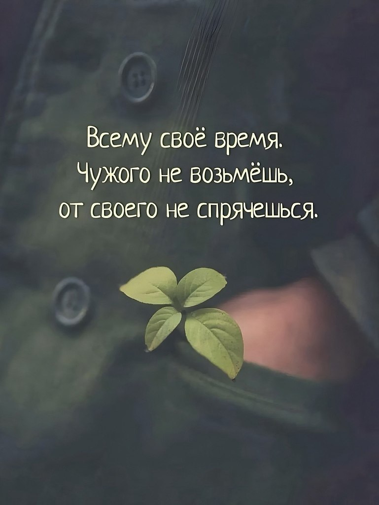   - 14  2025  16:41
