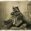 ���� �����, ������������ - ��������� 20 ������ 2023 � ������ ������ ��������