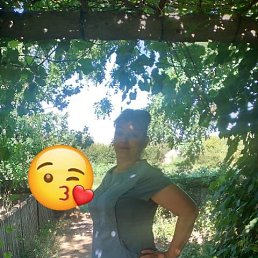 ���� ��������, ������������, 53 ���� - ��������� 31 ������� 2023