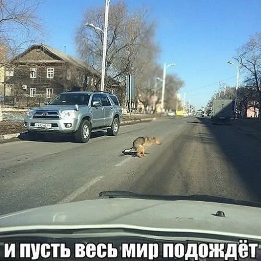 �� ����� - ������������� ������ �1 - 17 �������� 2025 � 00:55