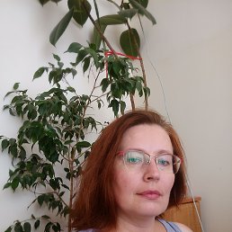 , 48, 