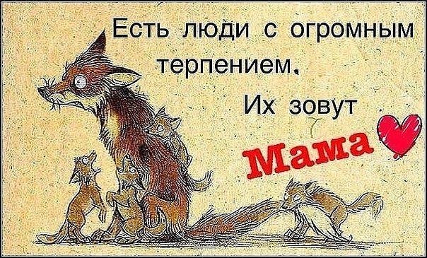 ���� ���� ����� ������� �������������� ������� - 14 ������� 2025 � 11:16