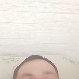 , 41 , -