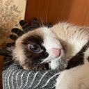 ���� �����, ������, 67 ��� - ��������� 30 ������ 2024 � ������ ������ ��������