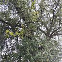 ���� �����, ��������� - ��������� 24 ������� 2025