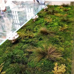 �����, �����-���������, 45 ���