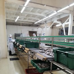 ���� �������, ������, 55 ��� - ��������� 25 ������� 2023