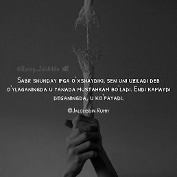 Islom, �������, 30 ���