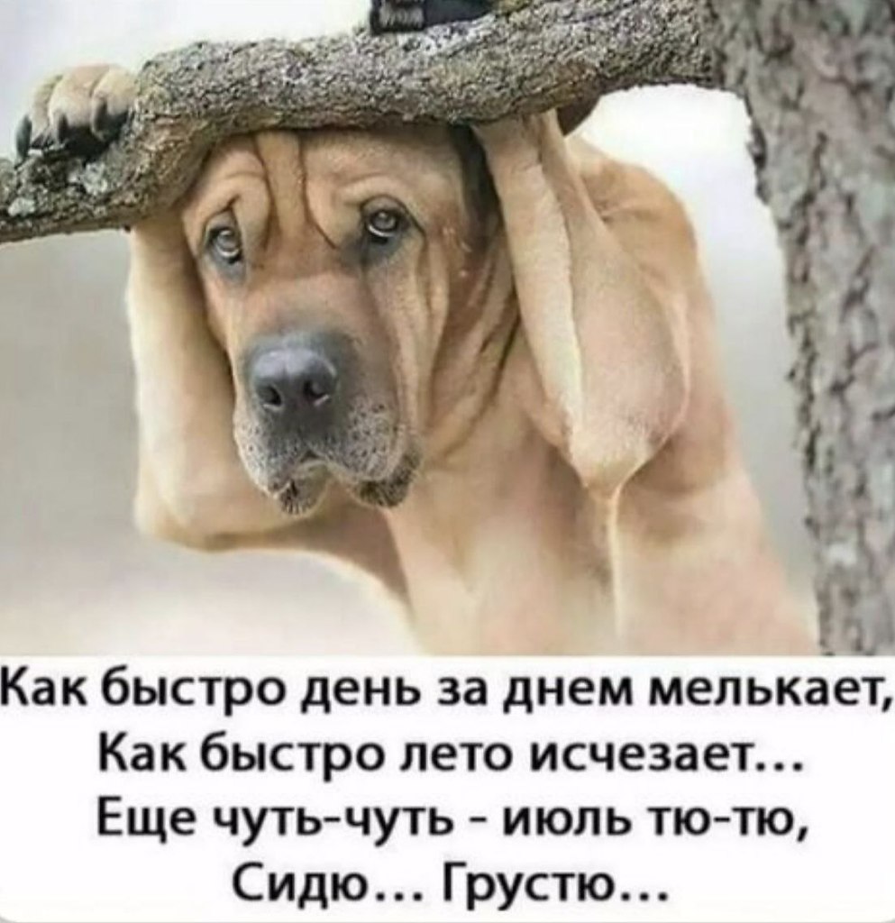   - 23  2025  18:47