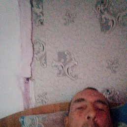 , 41 , 
