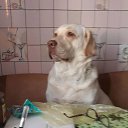 ���� ����, ������� - ��������� 20 ������ 2025