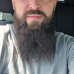 �����, ����������, 33 ����