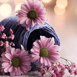 Aann, ������