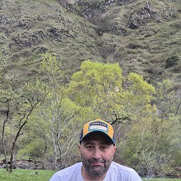 , 37, 