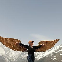 , 41, 