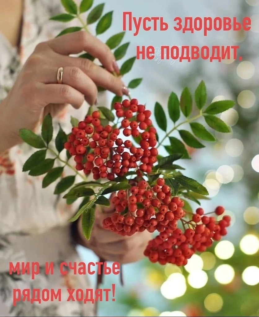   ,    . - 28  2025  12:38