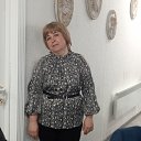 ���� �����, ������, 55 ��� - ��������� 9 ���� 2026 � ������ ���� ����������