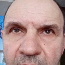 , 58 , 